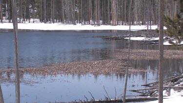 Rippling lake in alpine setting surrounded by snowy banks