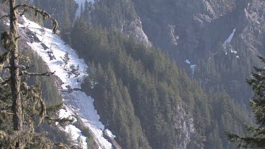 Forested mountainside with snow framed through trees