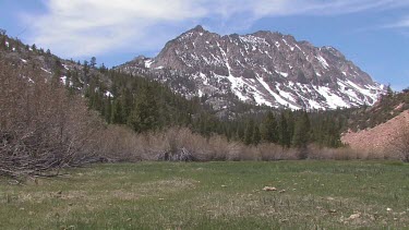 Jagged mountains with blue sky, clouds, trees and meadow