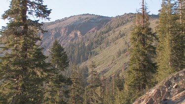 Forested mountainside framed through trees