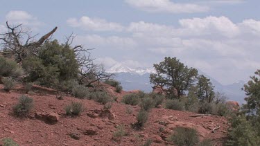 Canyon trail and ridge; looking out toward the mountains