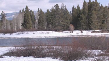 A Rocky Mountain river in early Spring; the Snake River