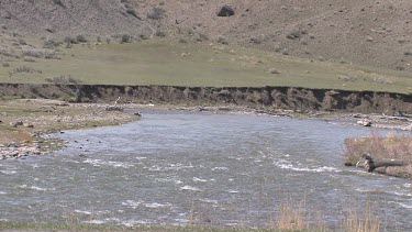 A river in the Rocky Mountains