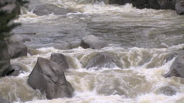 A rushing, cascading river in the Rocky Mountains