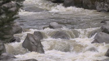 A rushing, cascading river in the Rocky Mountains