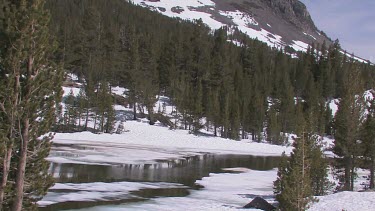 An icy stream in the Sierra Mountains