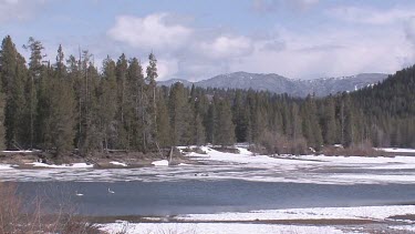 A Rocky Mountain river in early Spring; the Snake River