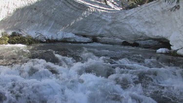 A rushing Northwest mountain stream