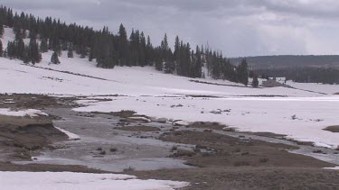 A sparkling stream high in the southernmost Rockies