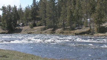 A sparkling river flows swiftly