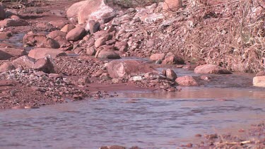 Desert-canyon stream in red rock valley