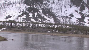 A river flows placidly in the mountains