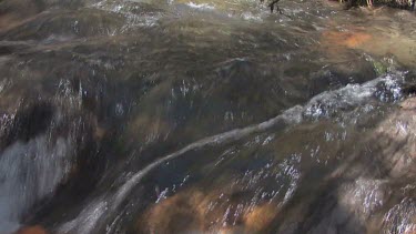 river rushes in deep canyon below