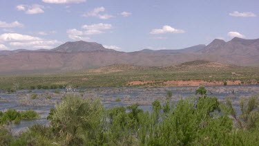 A pristinq mountain river flows swiftly in the forest