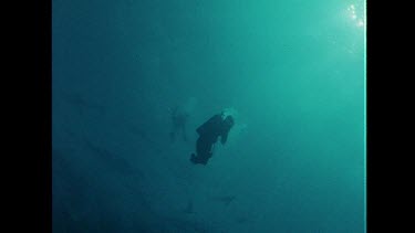 Ron Valerie Taylor dive amongst a school of Blue Sharks