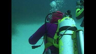 A Great White Shark swims slowly past divers testing the Shark POD device