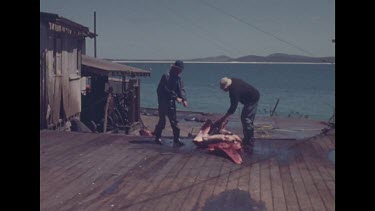 factory men flense jaws of whale