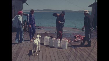 Hugh Edward and Valerie collect meat