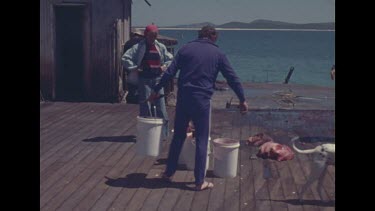 Hugh Edward and Valerie collect meat