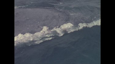 body of dead whale