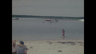 beach, shark fins in water