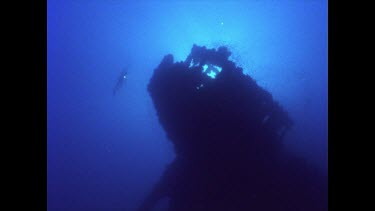 looking up to stern of Yongala, diver swimming