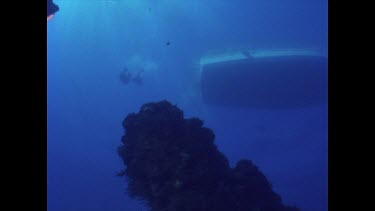 two divers swim towards wreck