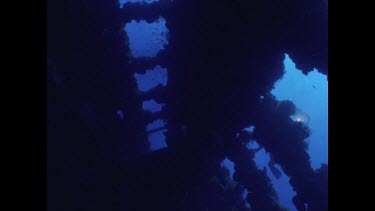two divers swim among wreck, school of fish
