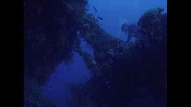 Mark and Valerie swim past wreck with light