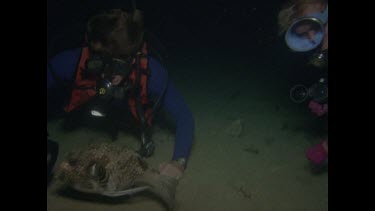 mike and spotted puffer fish unpuffed