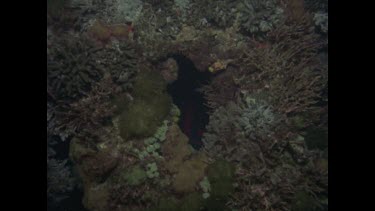 diver through whole in ship frame