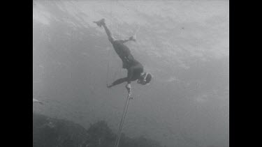 black and white, diver on surface spears a shark