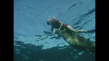 Valerie drags dead shark to surface