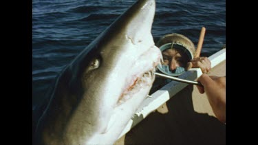 man and valerie look into sharks mouth