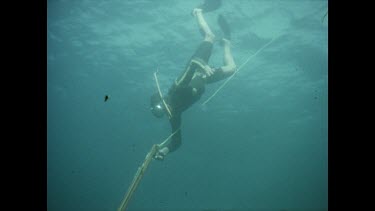 Vicky Ley hits grey shark