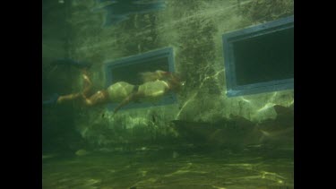 valerie swimming with shark in pool