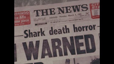 newpaper article, fear of sharks killer sharks