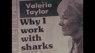 newpaper article, fear of sharks killer sharks