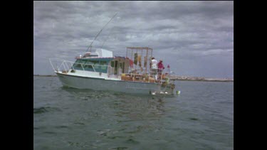 Sequence of shots. Valerie Taylor preparing bait to hand feed great white sharks.