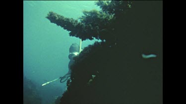 Spear fishing scene from Great White Death.