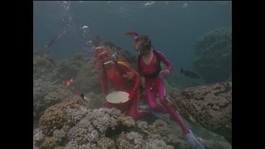 Ron and Valerie Taylor hand feeding and filming potato cod