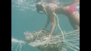 John Harding freeing tangled green turtle