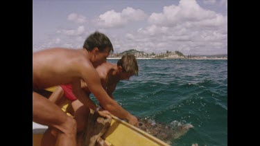 Pulling green turtle onto boat