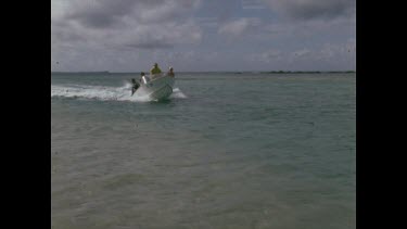 Towing saw fish ashore.