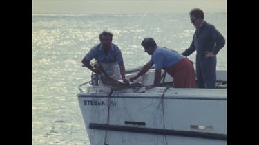 Government contractors hauling the nets out of the sea to clear them