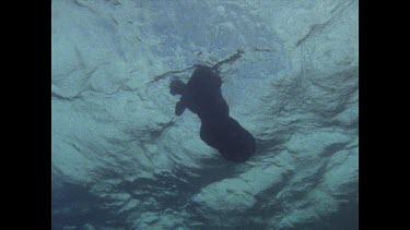 Valerie Taylor in shark screen bag