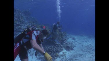 Ron shooting Valerie Taylor with sharks