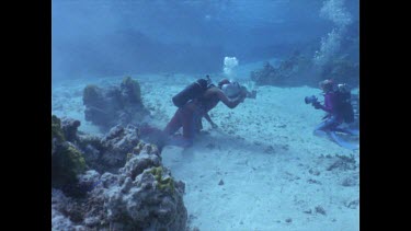 Valerie and Ron shooting White Tip reef Shark