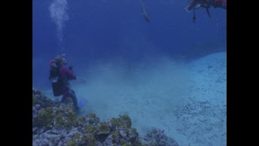 Valerie and Ron shooting White Tip reef Shark