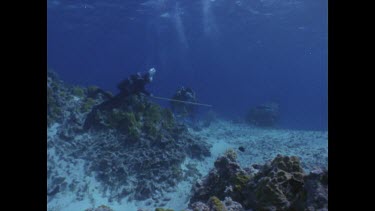 Valerie and Ron shooting, two sharks squabbling for food